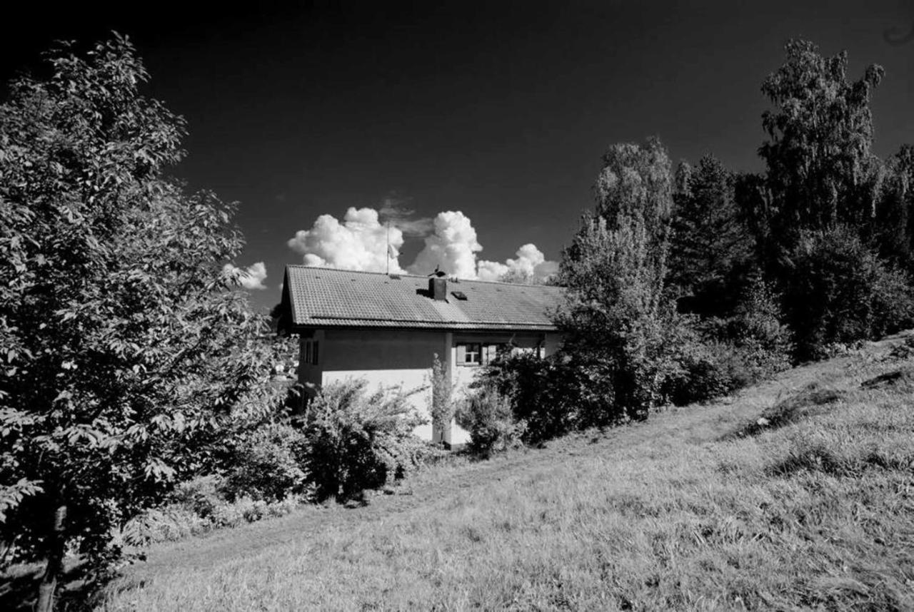 Ferienwohnungen Haus "Wildschuetz" Фрауэнау Экстерьер фото